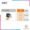 Van điện từ hơi nước (thân đồng) US - Ảnh 3