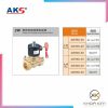 Van điện từ nước (thân đồng) 2W - Hình ảnh 3